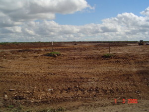 01 - Storm Water for Coega Industrial Zone 2 - Clear and Grub of Storm Water Attenuation Pond Area